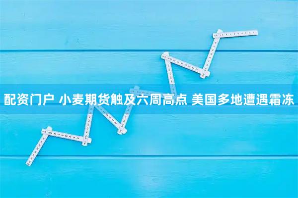 配资门户 小麦期货触及六周高点 美国多地遭遇霜冻